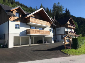 Ferienwohnung Hochstein